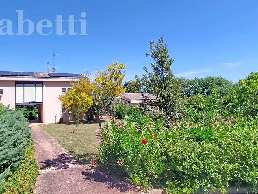 Immagine 8 di Villa in vendita  in Strada DEL GIARDINO, 185 a Senigallia