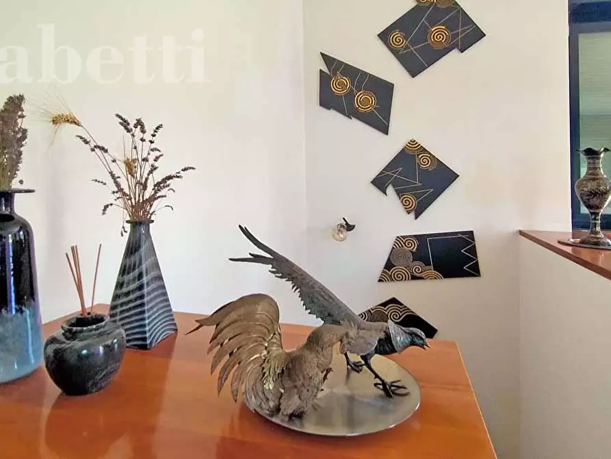 Immagine 14 di Villa in vendita  in Strada DEL GIARDINO, 185 a Senigallia