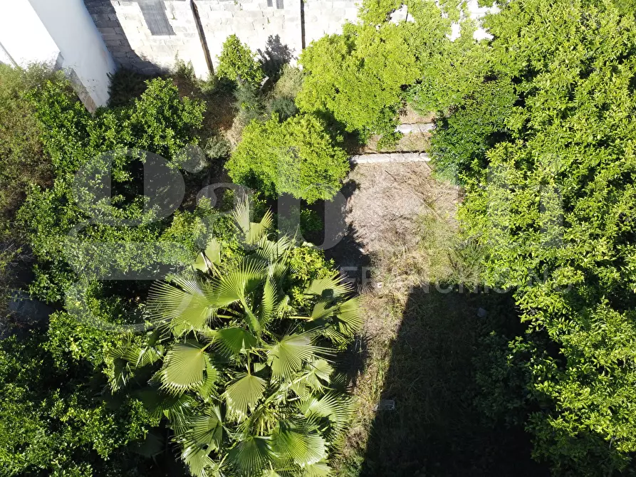 Immagine 8 di Palazzo in vendita  in Via Bologna, 7 a Nardo'