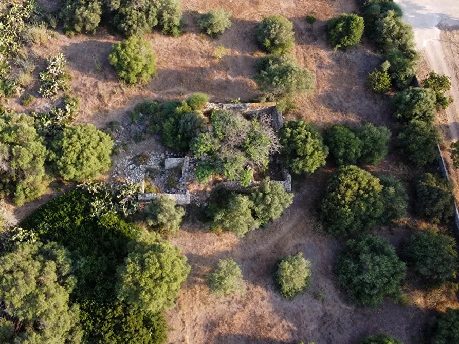 Immagine 9 di Terreno agricolo in vendita  in Contrada Guardiani, . a Portopalo Di Capo Passero