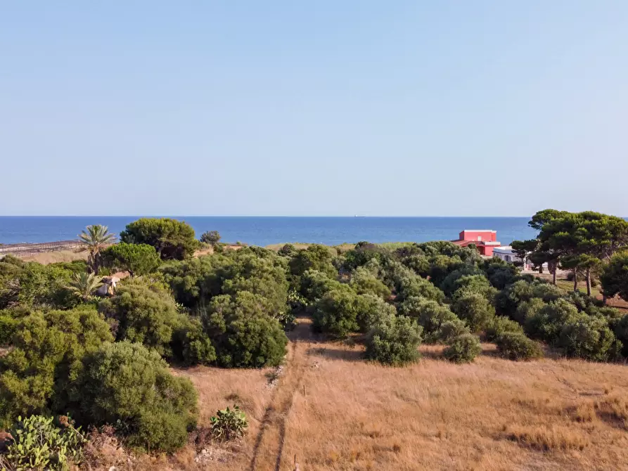 Immagine 3 di Terreno agricolo in vendita  in Contrada Guardiani, . a Portopalo Di Capo Passero