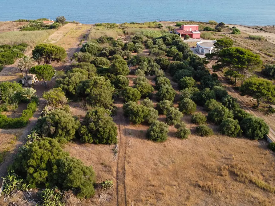 Immagine 13 di Terreno agricolo in vendita  in Contrada Guardiani, . a Portopalo Di Capo Passero