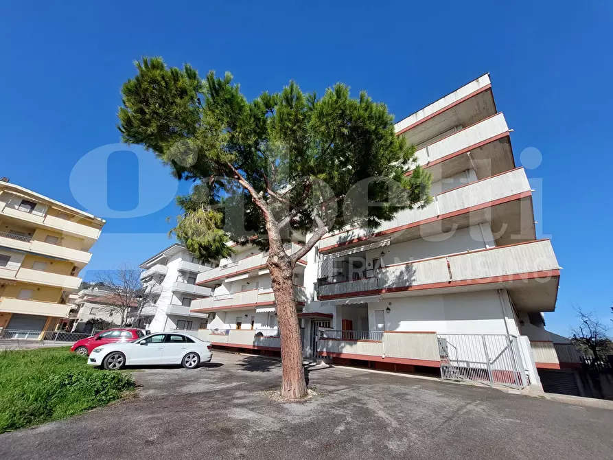 Immagine 15 di Appartamento in vendita  in Via Dei Tigli, 53 a Alba Adriatica