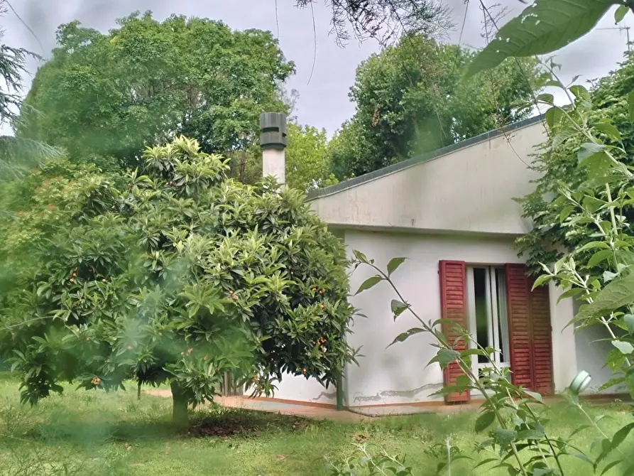 Immagine 3 di Villa in vendita  in Via Risorgimento, 30 a Meldola