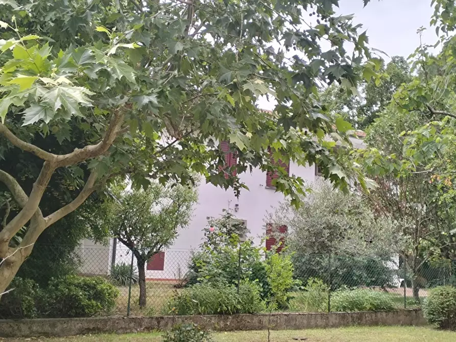 Immagine 4 di Villa in vendita  in Via Risorgimento, 30 a Meldola