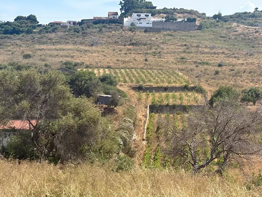 Immagine 3 di Terreno agricolo in vendita  in Via Nicholaus Kleineberg, 2 a Messina