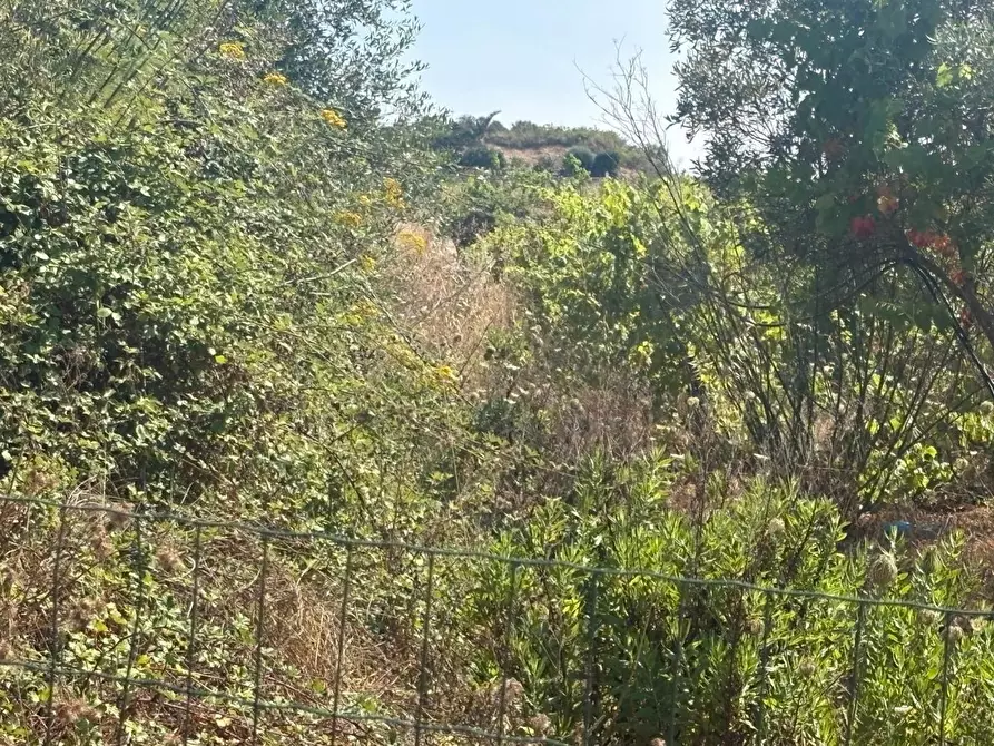 Immagine 5 di Terreno agricolo in vendita  in Via Nicholaus Kleineberg, 2 a Messina