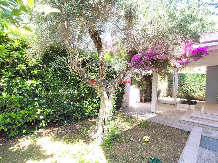 Immagine 34 di Villa in vendita  in Via Stefano Morellina, 1 a Foggia
