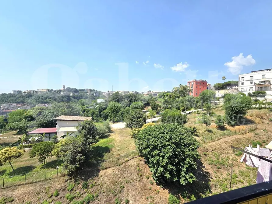 Immagine 14 di Appartamento in vendita  in Via Prolungamento Carlo de Marco a Napoli