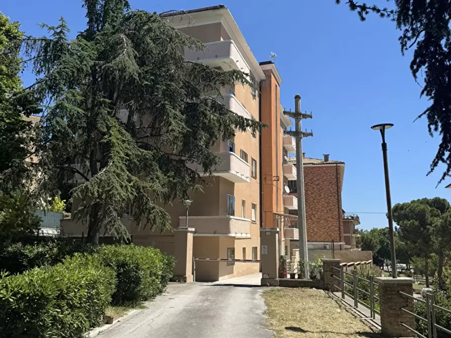Immagine 8 di Appartamento in vendita  in Piazzale crocifisso, 12 a Loreto