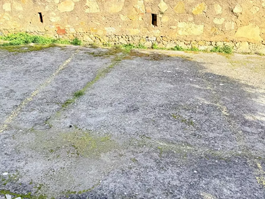 Immagine 21 di Appartamento in vendita  in Via DUSSOL a Marciana Marina
