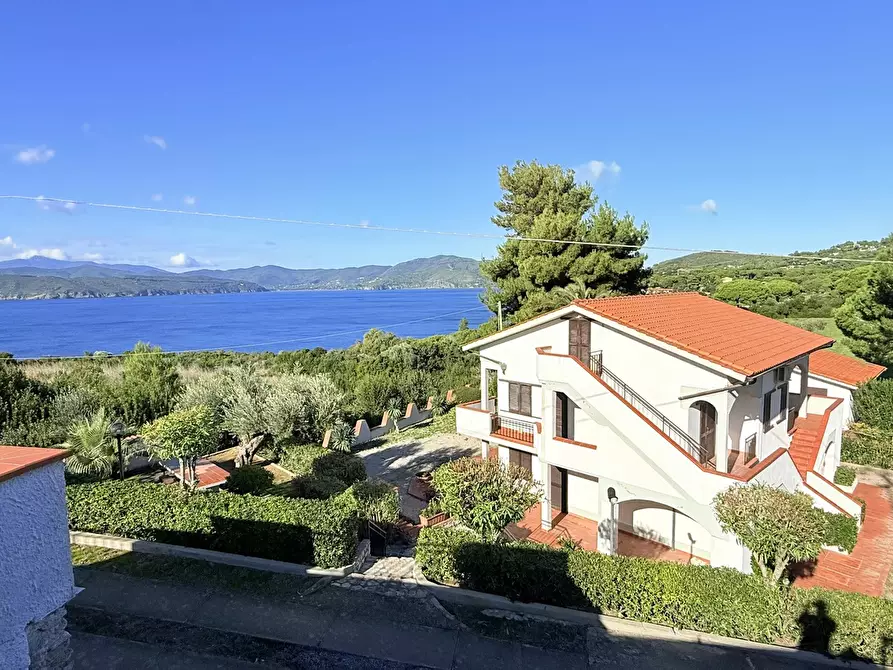 Immagine 11 di Appartamento in vendita  in LocalitÃ  PUNTA MORCONE a Capoliveri