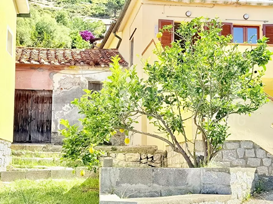 Immagine 3 di Appartamento in vendita  in Piazza santa lucia a Marciana