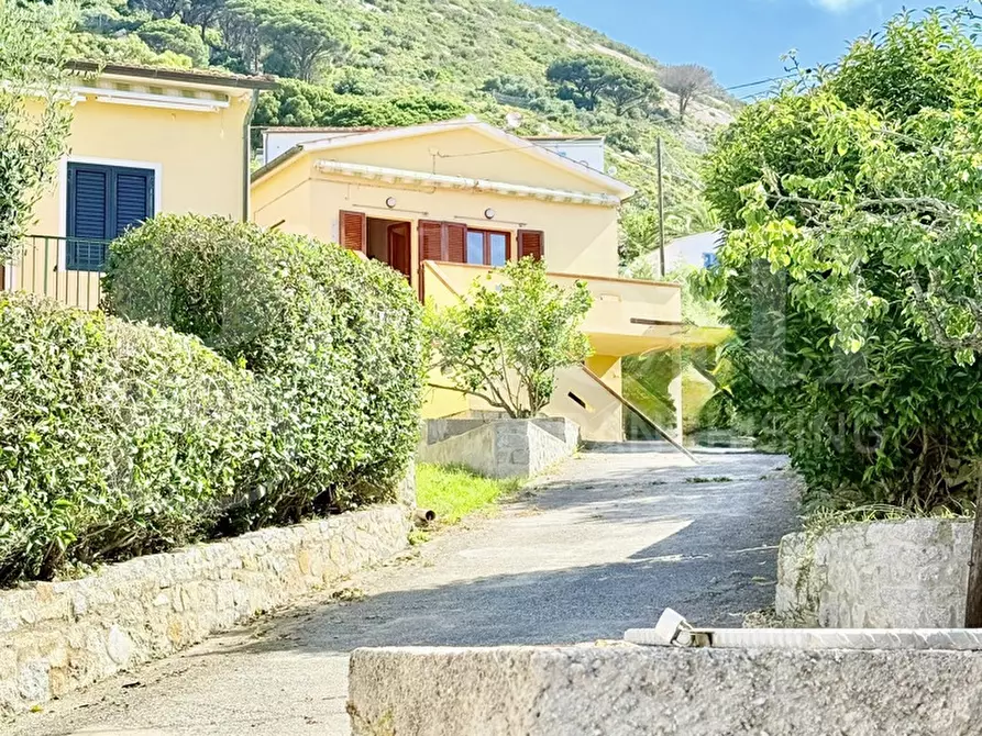 Immagine 33 di Appartamento in vendita  in Piazza santa lucia a Marciana