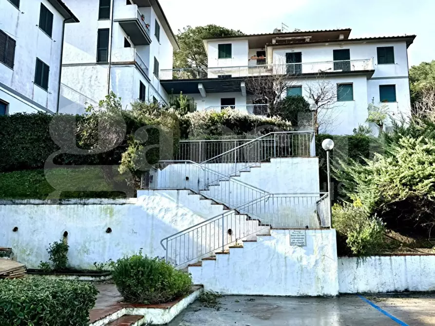 Immagine 15 di Appartamento in vendita  in Via DELLA CICALA a Marciana