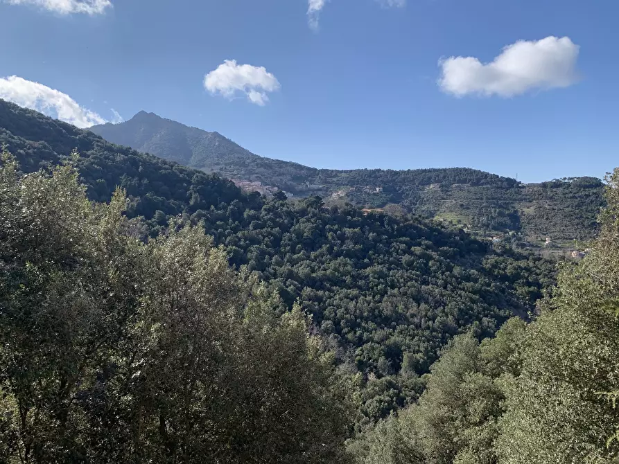Immagine 14 di Appartamento in vendita  in Via LEONI ULISSE a Marciana