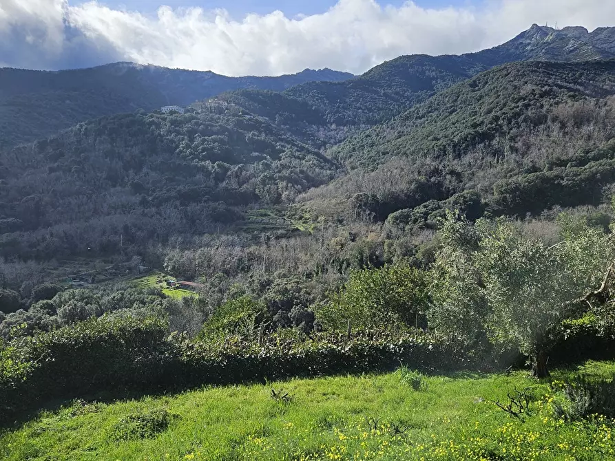 Immagine 6 di Rustico / casale in vendita  in LocalitÃ  COSTARELLA a Marciana