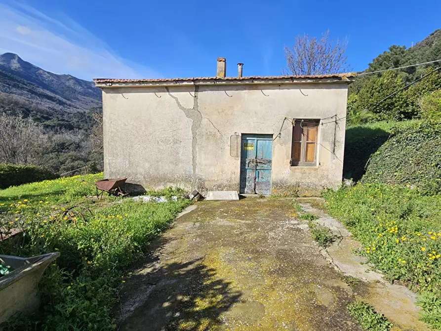 Immagine 2 di Rustico / casale in vendita  in LocalitÃ  COSTARELLA a Marciana
