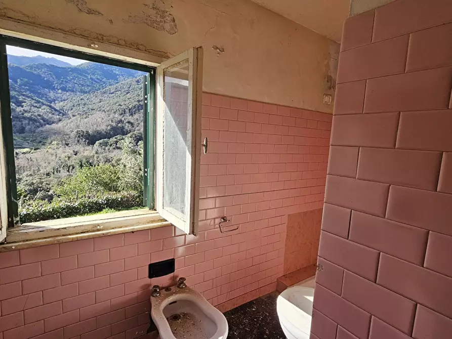 Immagine 5 di Rustico / casale in vendita  in LocalitÃ  COSTARELLA a Marciana
