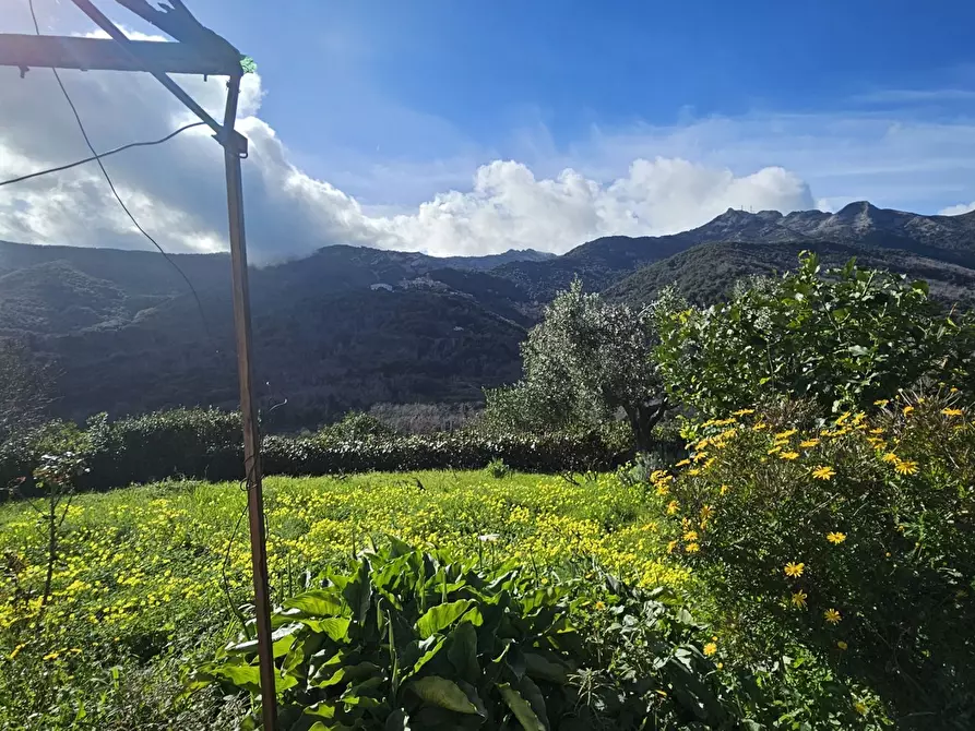 Immagine 3 di Rustico / casale in vendita  in LocalitÃ  COSTARELLA a Marciana