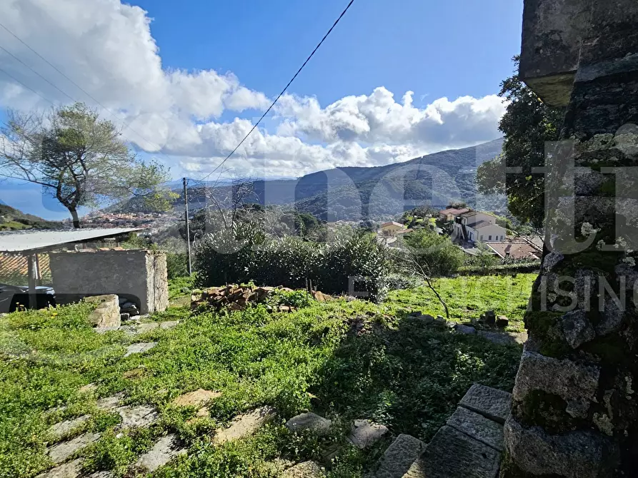 Immagine 7 di Rustico / casale in vendita  in LocalitÃ  COSTARELLA a Marciana