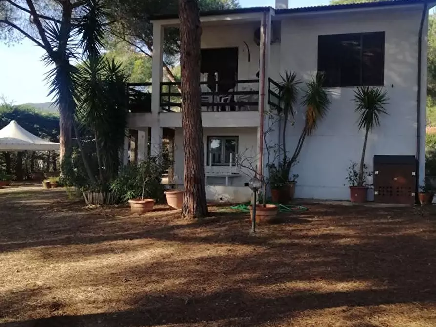 Immagine 10 di Villa in vendita  in Via DEL CANALE a Capoliveri