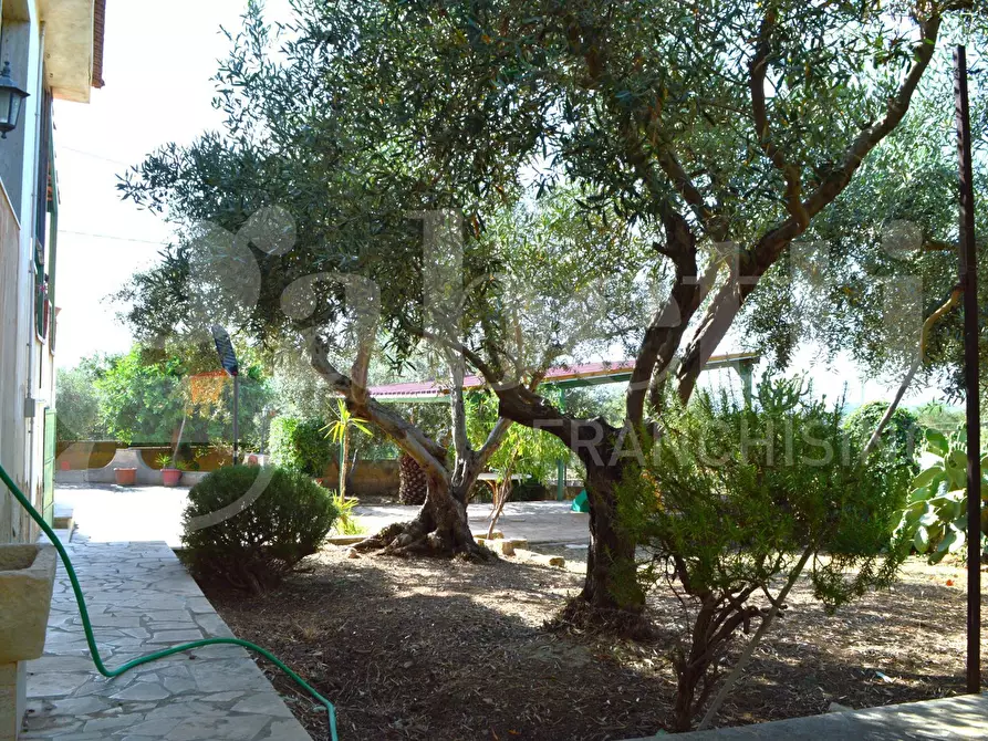 Immagine 39 di Casa indipendente in vendita  in Via Patriarca San Giuseppe, 123 a Santa Croce Camerina