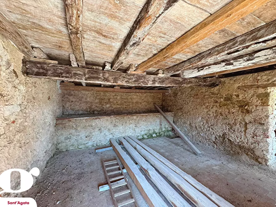 Immagine 5 di Villa in vendita  in Via UMBERTO I, SNC a Militello Rosmarino
