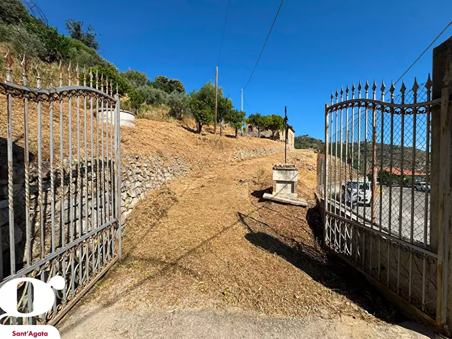 Immagine 14 di Villa in vendita  in Via UMBERTO I, SNC a Militello Rosmarino
