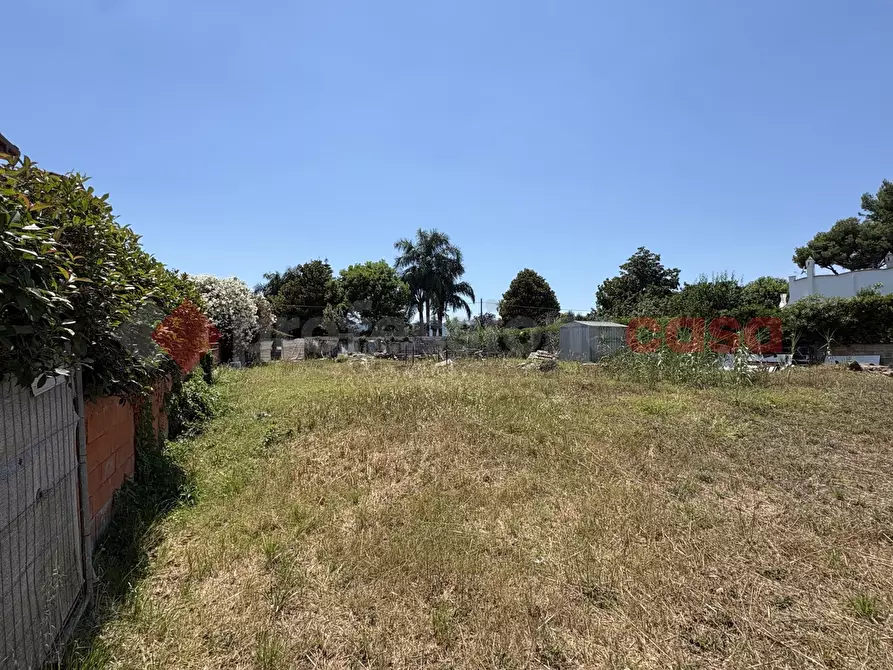 Immagine 3 di Terreno residenziale in vendita  in Via DEI CAPRIOLI, 7 a San Felice Circeo