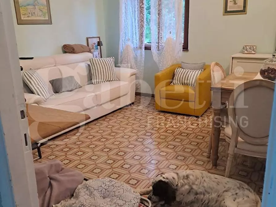 Immagine 7 di Casa indipendente in vendita  in LocalitÃ  NISPORTO a Rio