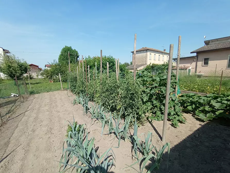Immagine 20 di Casa indipendente in vendita  in Via CAVARZERE - San Pietro, 00 a Cavarzere