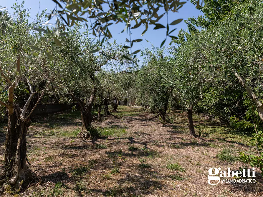 Immagine 15 di Terratetto in vendita  in Via Laghetto, 312/B a San Giovanni In Marignano