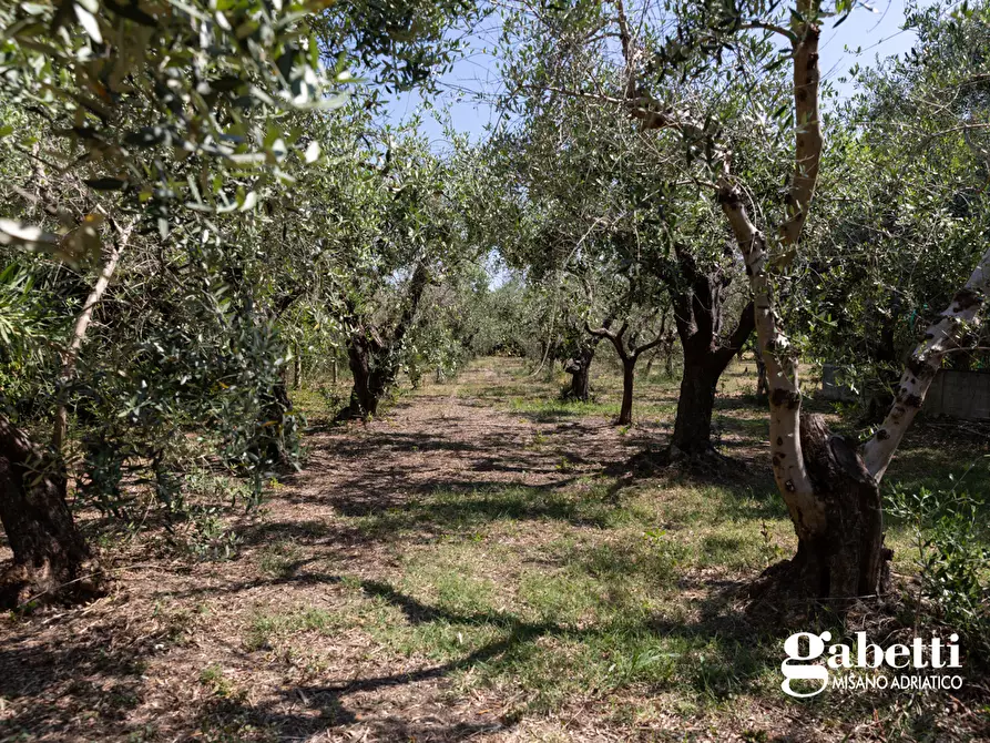 Immagine 9 di Terratetto in vendita  in Via Laghetto, 312/B a San Giovanni In Marignano