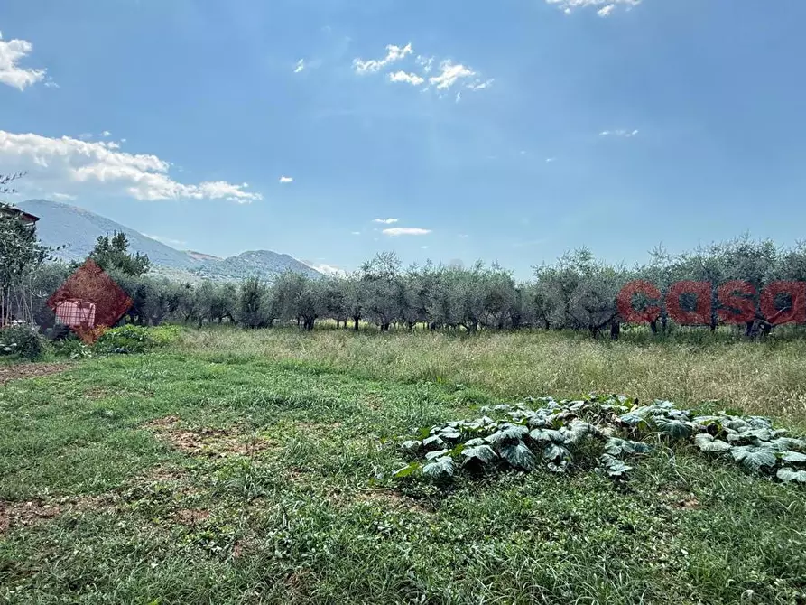 Immagine 10 di Casa indipendente in vendita  in Via Valle, 39 a Alatri