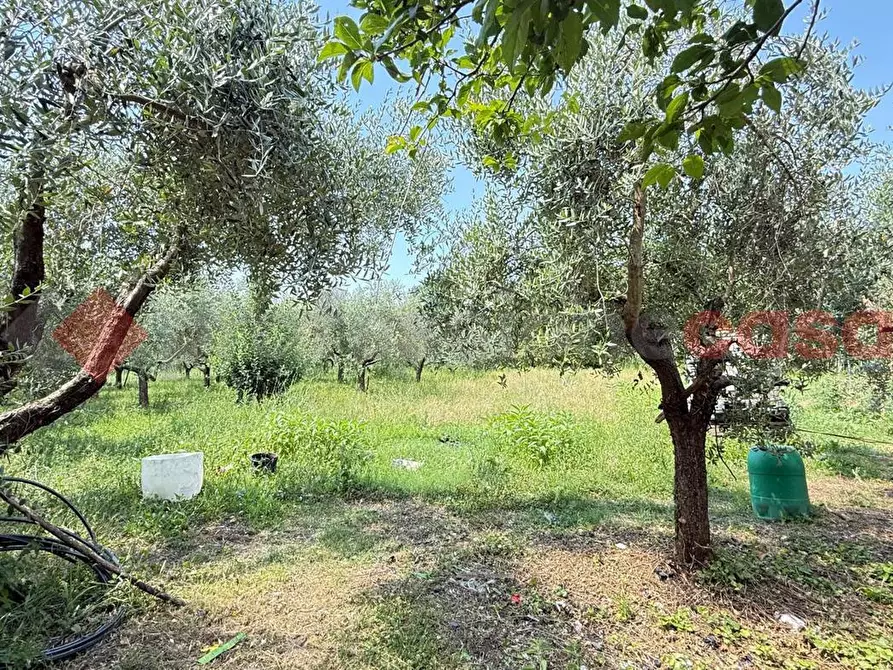 Immagine 9 di Casa indipendente in vendita  in Via Valle, 39 a Alatri