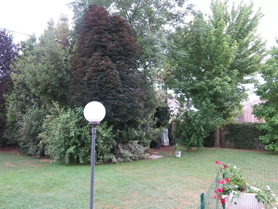 Immagine 6 di Appartamento in vendita  in Via pratolino, 15 a Santo Stefano Di Magra