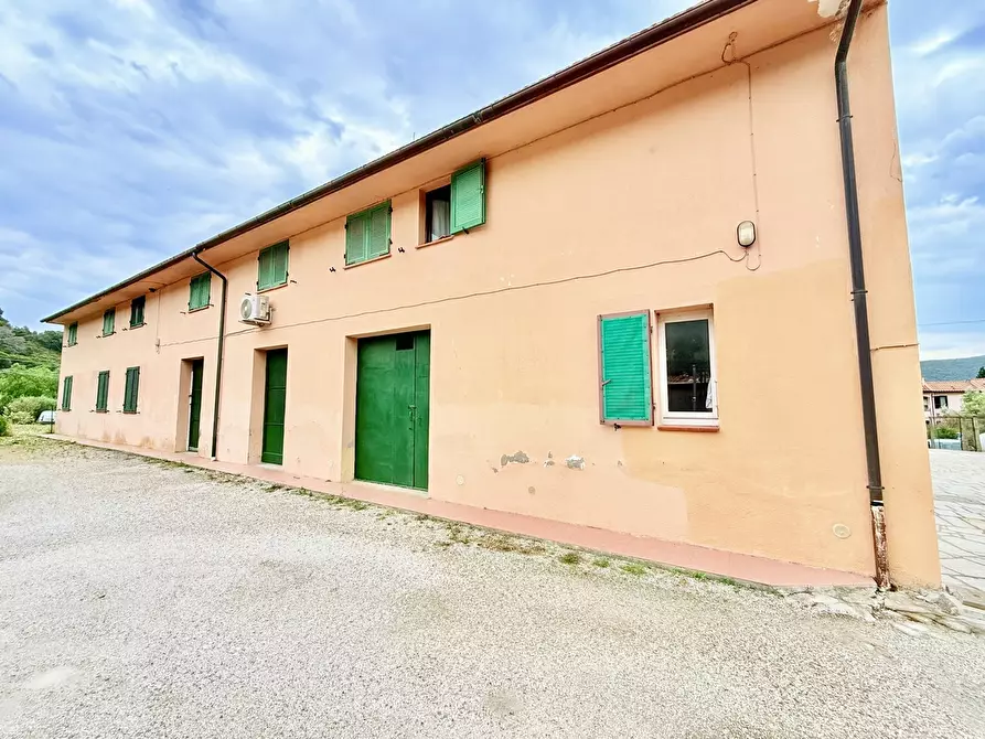 Immagine 9 di Appartamento in vendita  in Via DI CASTIGLIONE a Campo Nell'elba