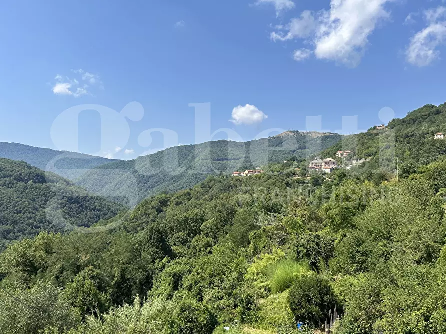 Immagine 24 di Appartamento in vendita  in Via Poggio, 22 a Davagna