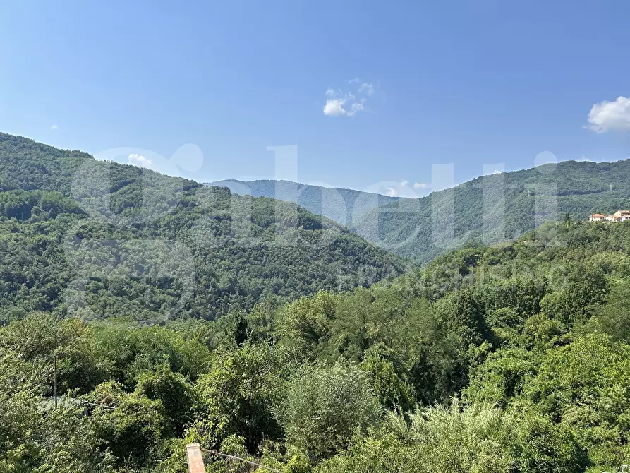 Immagine 32 di Appartamento in vendita  in Via Poggio, 22 a Davagna