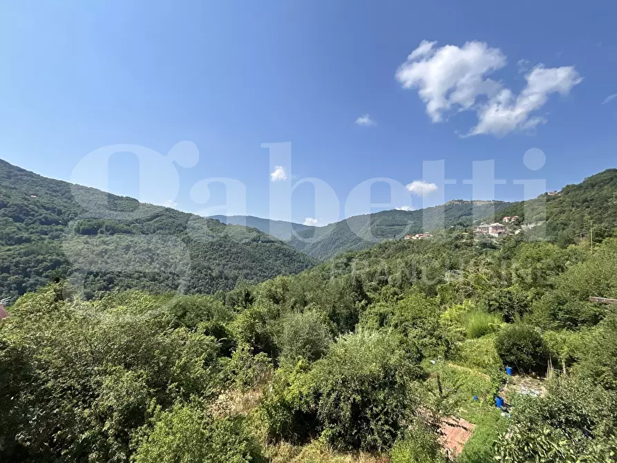 Immagine 27 di Appartamento in vendita  in Via Poggio, 22 a Davagna