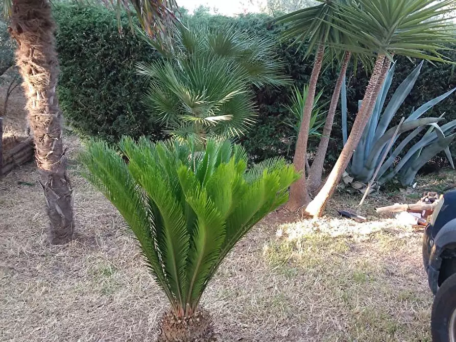 Immagine 38 di Villa in vendita  in LocalitÃ  MULUCCHINI, SNC a Amaroni