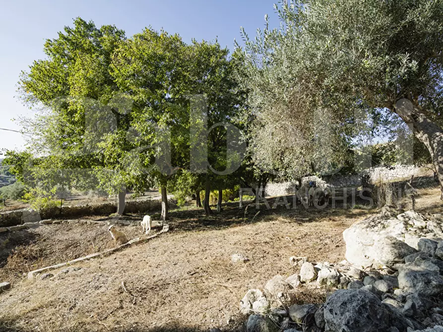 Immagine 27 di Rustico / casale in vendita  in Contrada Carbonaro, snc a Rosolini