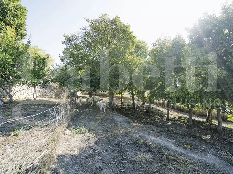 Immagine 26 di Rustico / casale in vendita  in Contrada Carbonaro, snc a Rosolini