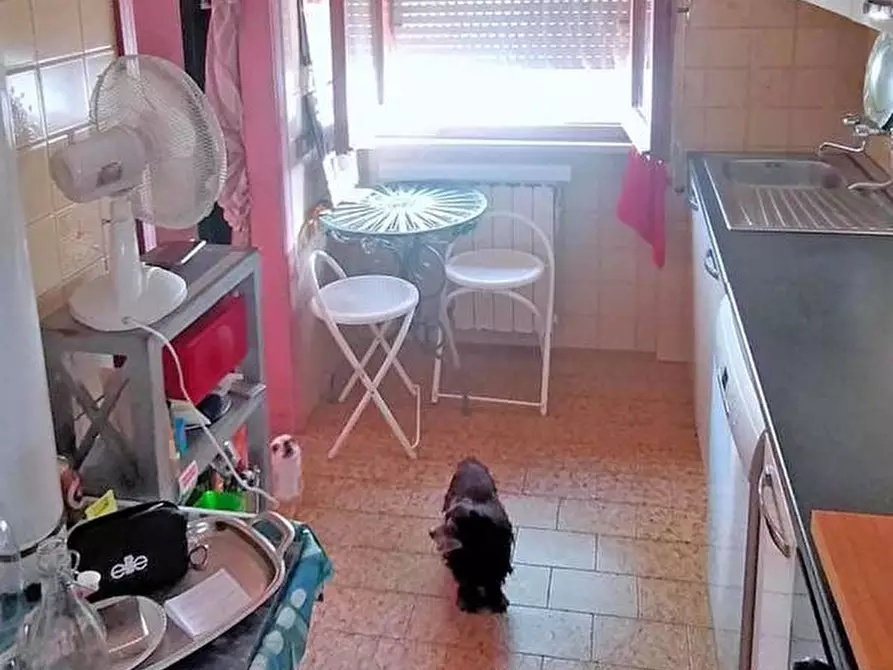 Immagine 10 di Casa indipendente in vendita  in Strada di Croce Borbona, 15 a Corinaldo