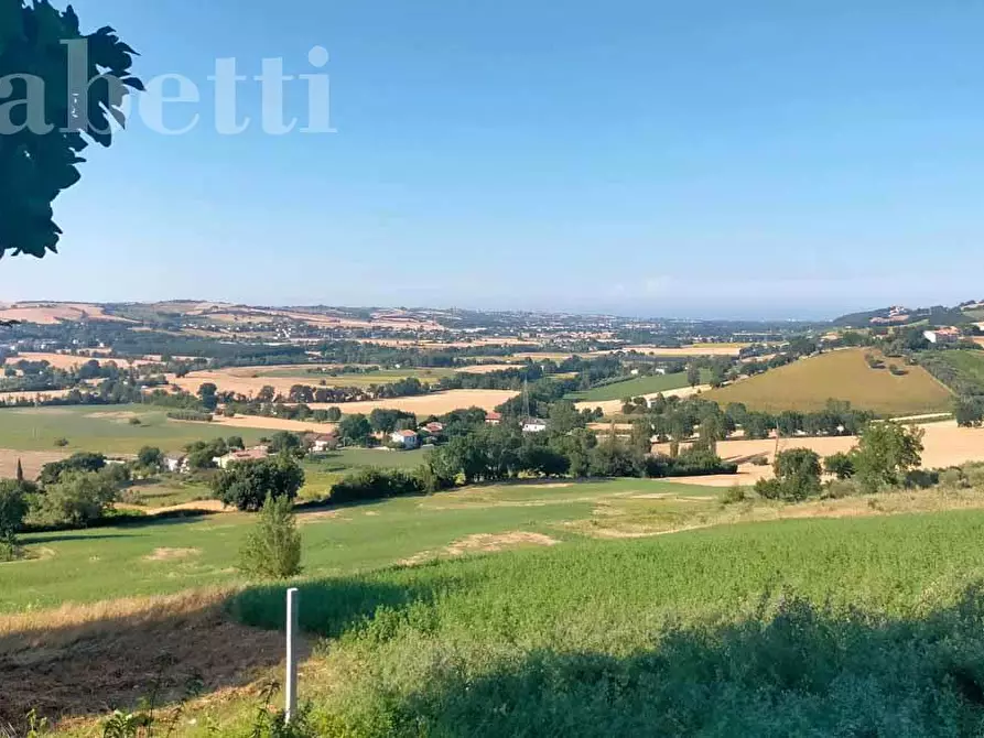 Immagine 7 di Casa indipendente in vendita  in Strada di Croce Borbona, 15 a Corinaldo