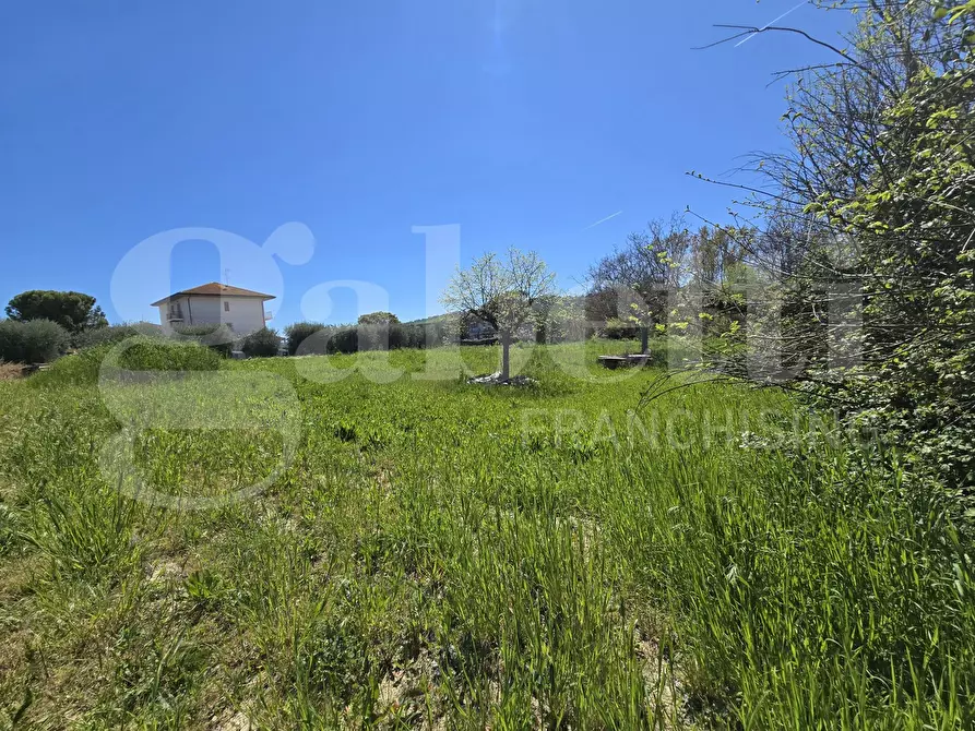 Immagine 7 di Terreno residenziale in vendita  in Via salino, 83 a Tortoreto
