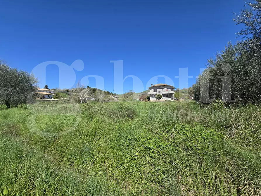 Immagine 3 di Terreno residenziale in vendita  in Via salino, 83 a Tortoreto