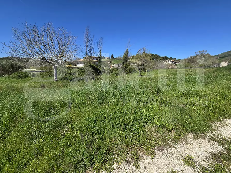 Immagine 2 di Terreno residenziale in vendita  in Via salino, 83 a Tortoreto