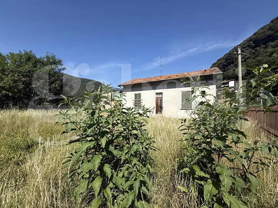 Immagine 1 di Rustico / casale in vendita  in Via praeli, 4 a Asso